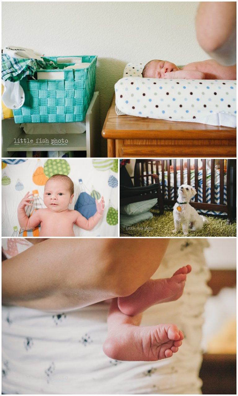 Lifestyle newborn baby boy - Silverdale Photographer