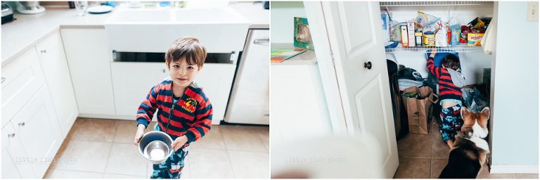 little boy helps feed the dog