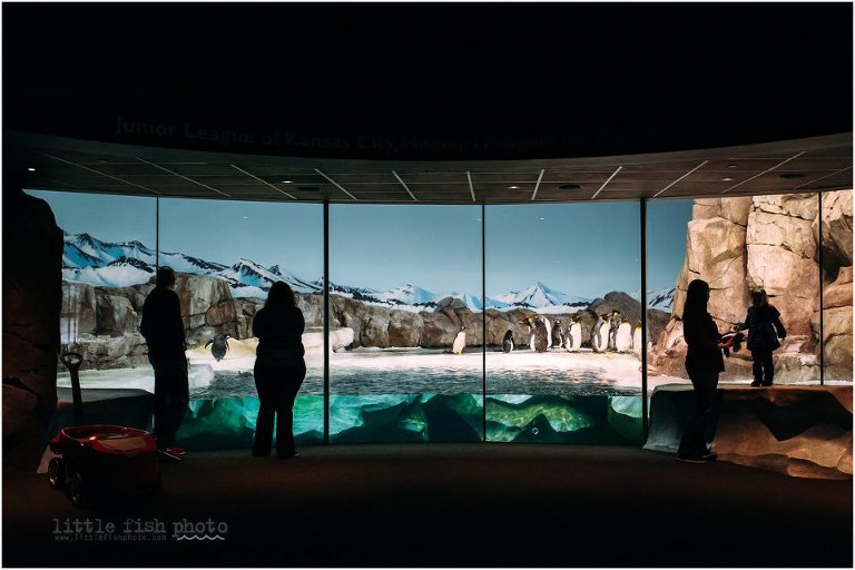 silhouette of family at penguin exhibit