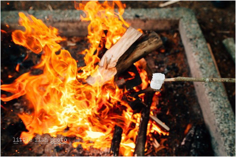 marshmallow roasting over campfire