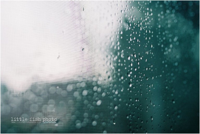 rain on window pane