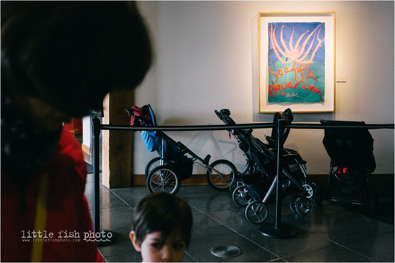 strollers line up at the Seattle aquarium - Kitsap Documentary Family Photographer